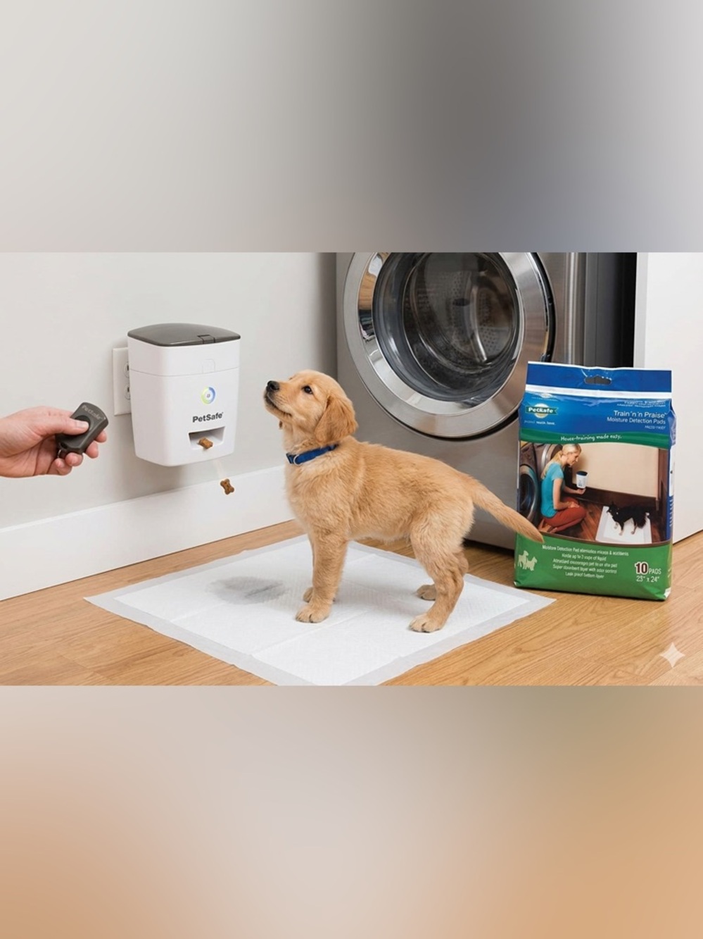 PetSafe Dog Potty Training System Auto Treat Dispenser w/ Pads Kit - NEW - Picture 5 of 5